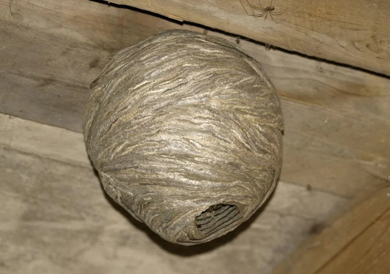 Vorschaubild 9