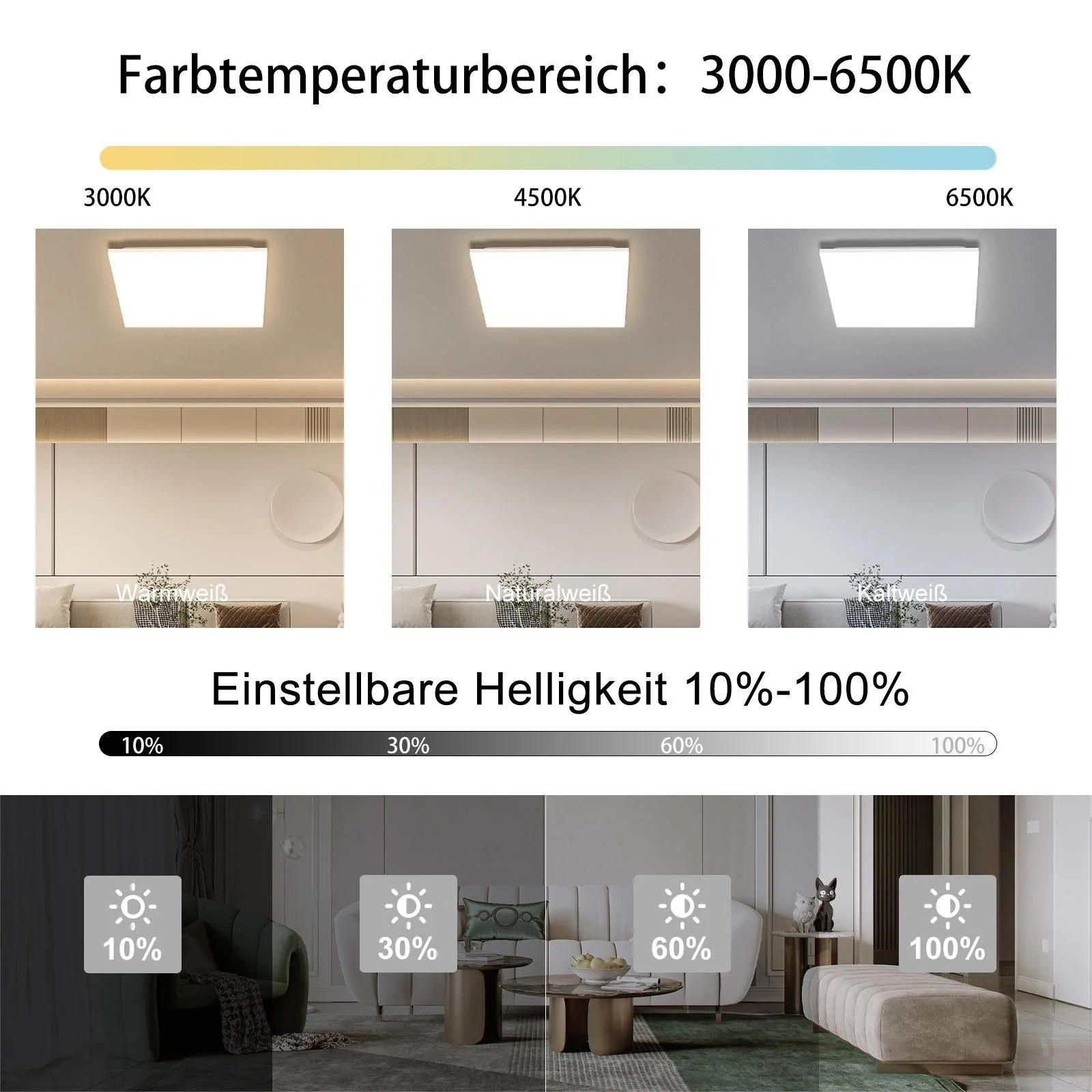 Vorschaubild 8